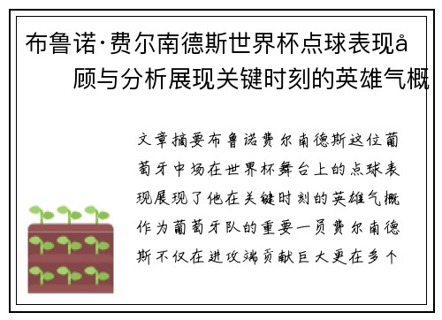 布鲁诺·费尔南德斯世界杯点球表现回顾与分析展现关键时刻的英雄气概